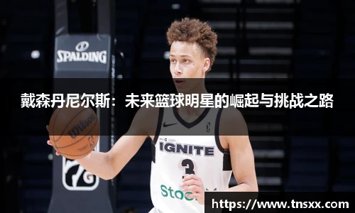 星空入口免费网站