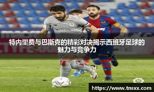 星空入口免费网站