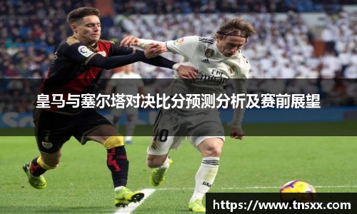 星空入口免费网站