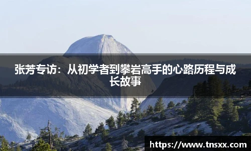 星空入口免费网站