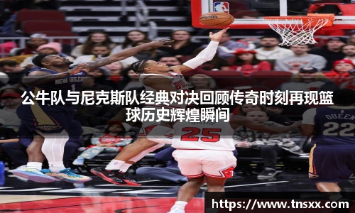 星空入口免费网站