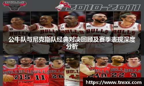 星空入口免费网站
